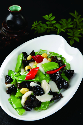 养生素什锦(551255)