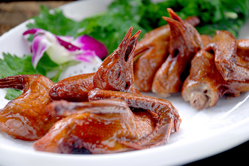 妙龄乳鸽(1082163)