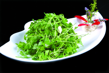 12180号菜图列表 万鸿酒店菜谱 万鸿酒店菜单