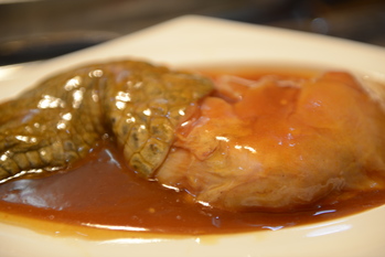 极品花菇鳄鱼掌(1724305)