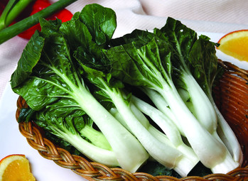 乌菜家常清炒四季豆梅干菜干煸清炒姜汤菠菜榄菜四季豆生菜耗油蒜泥清